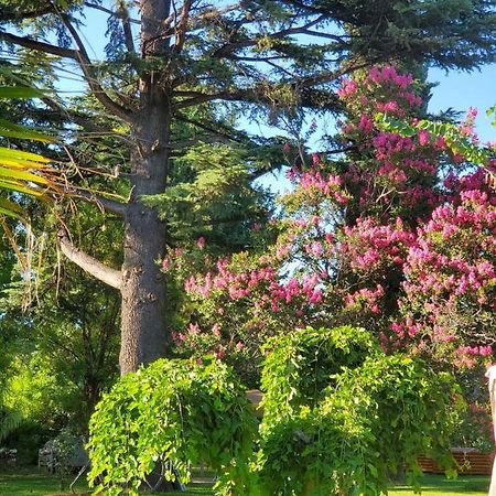Quinta Ugarte Bed & Breakfast Lujan de Cuyo ภายนอก รูปภาพ