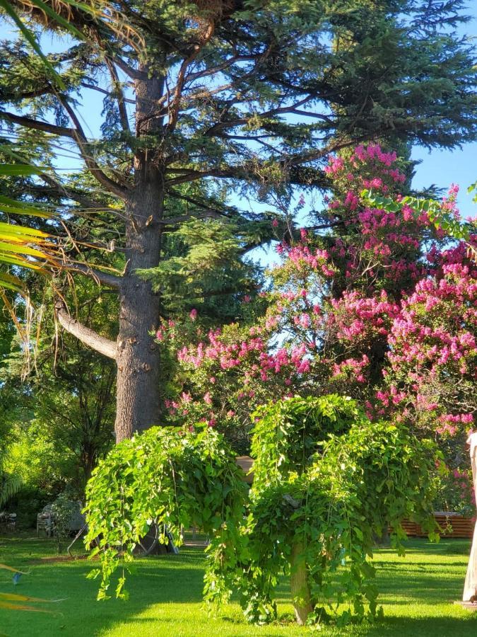 Quinta Ugarte Bed & Breakfast Lujan de Cuyo ภายนอก รูปภาพ