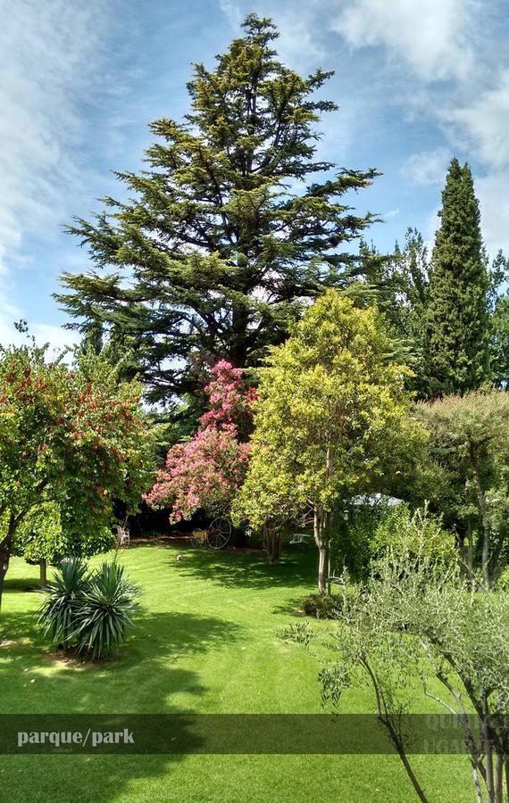 Quinta Ugarte Bed & Breakfast Lujan de Cuyo ภายนอก รูปภาพ