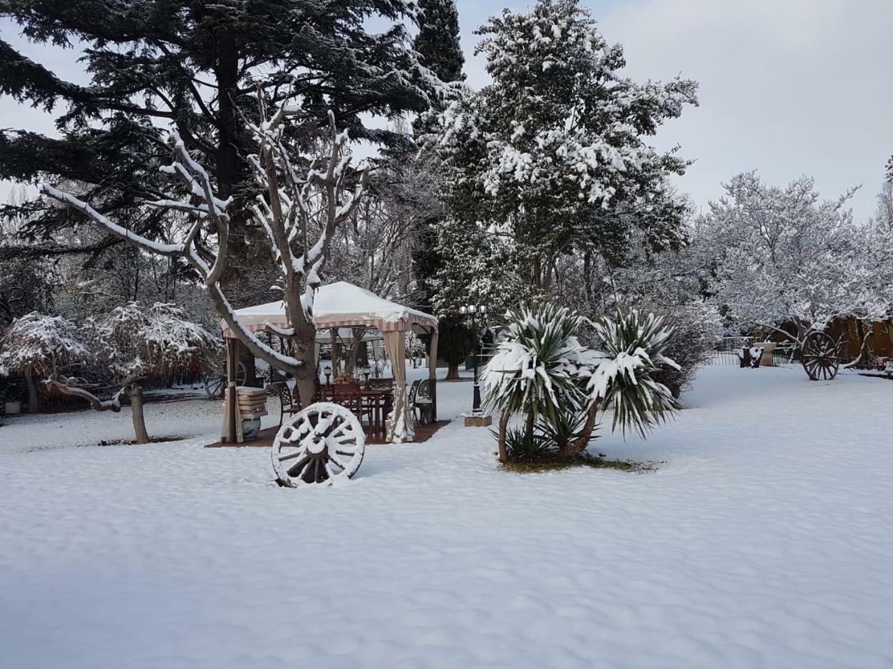 Quinta Ugarte Bed & Breakfast Lujan de Cuyo ภายนอก รูปภาพ
