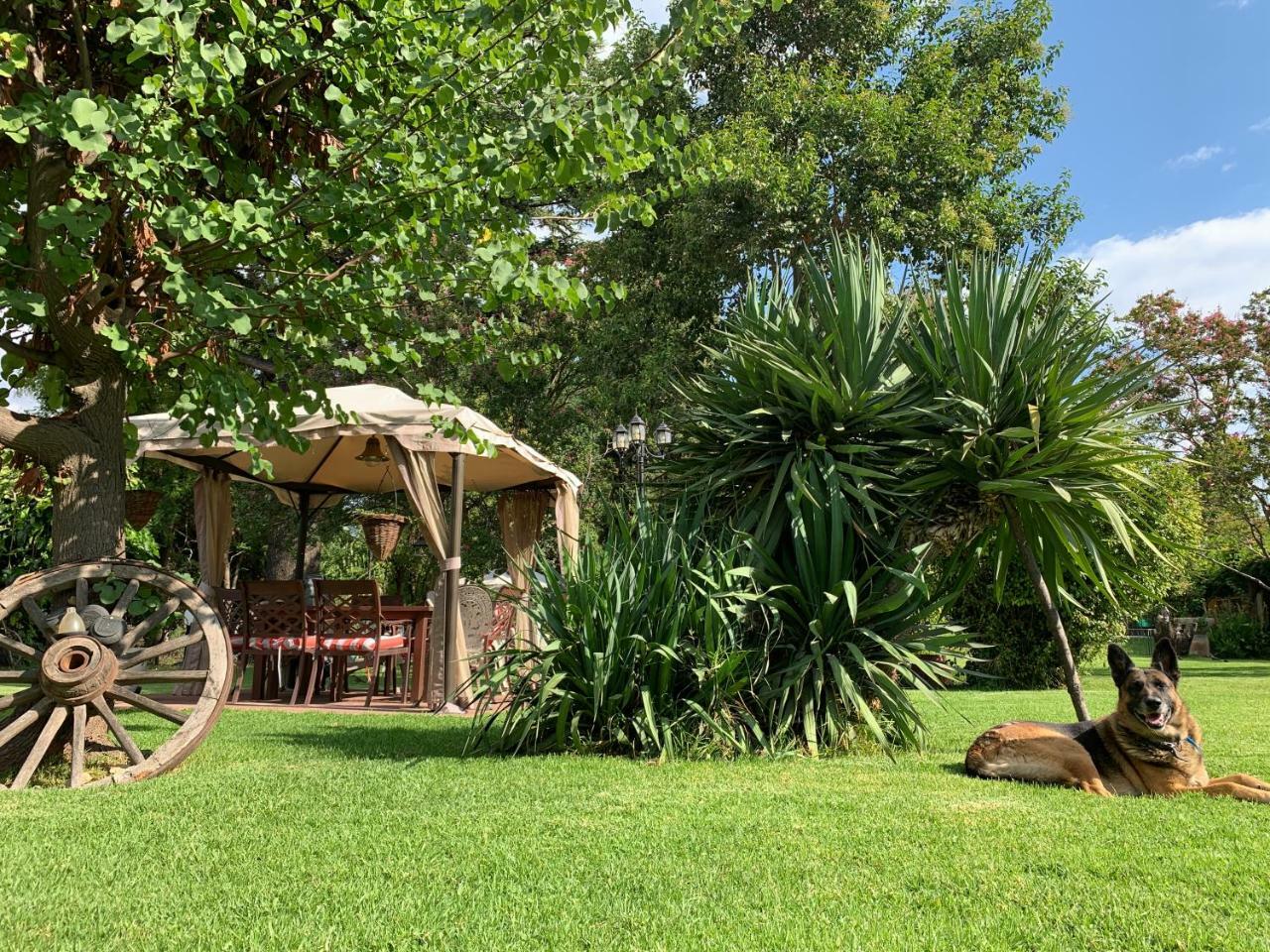 Quinta Ugarte Bed & Breakfast Lujan de Cuyo ภายนอก รูปภาพ