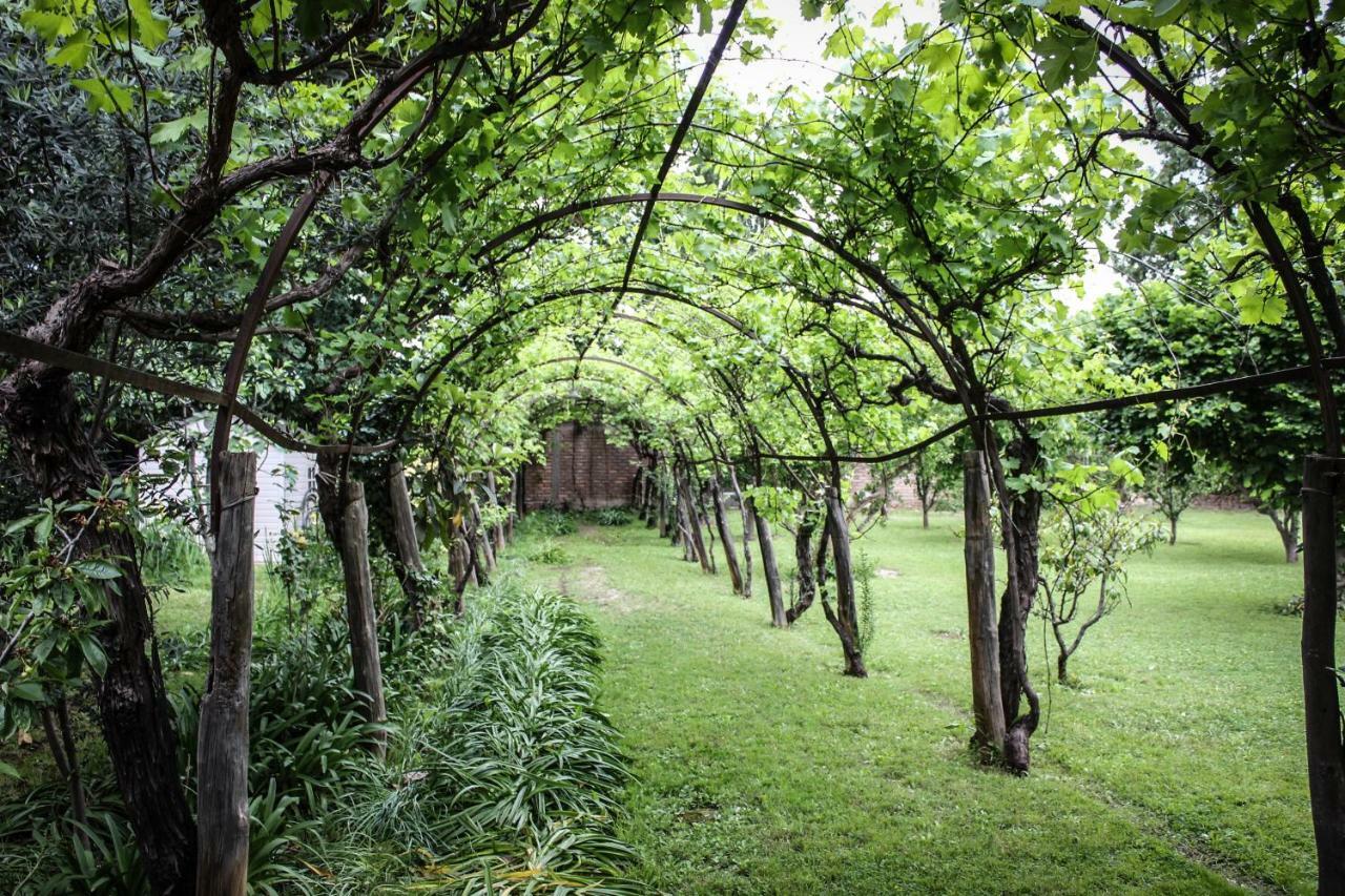 Quinta Ugarte Bed & Breakfast Lujan de Cuyo ภายนอก รูปภาพ